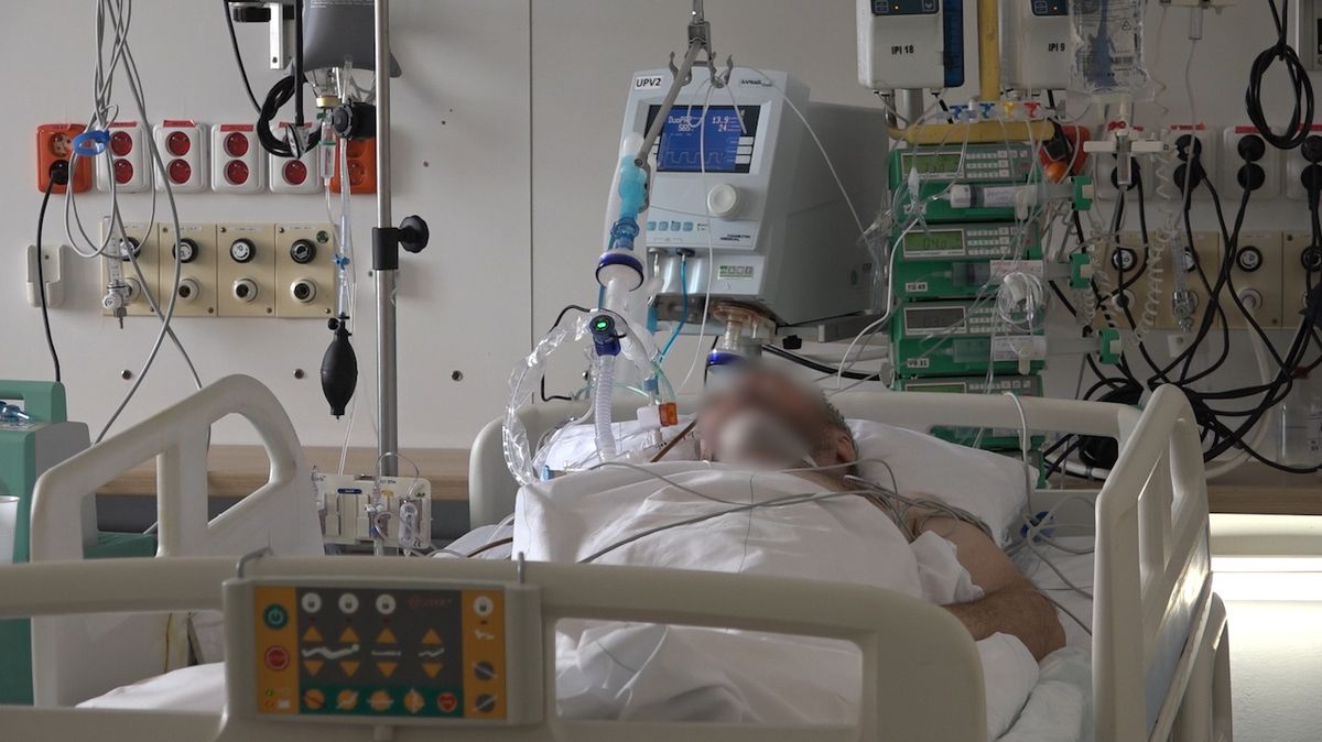 Dušek: V nemocnicích mohou být v září opět stovky pacientů s covidem